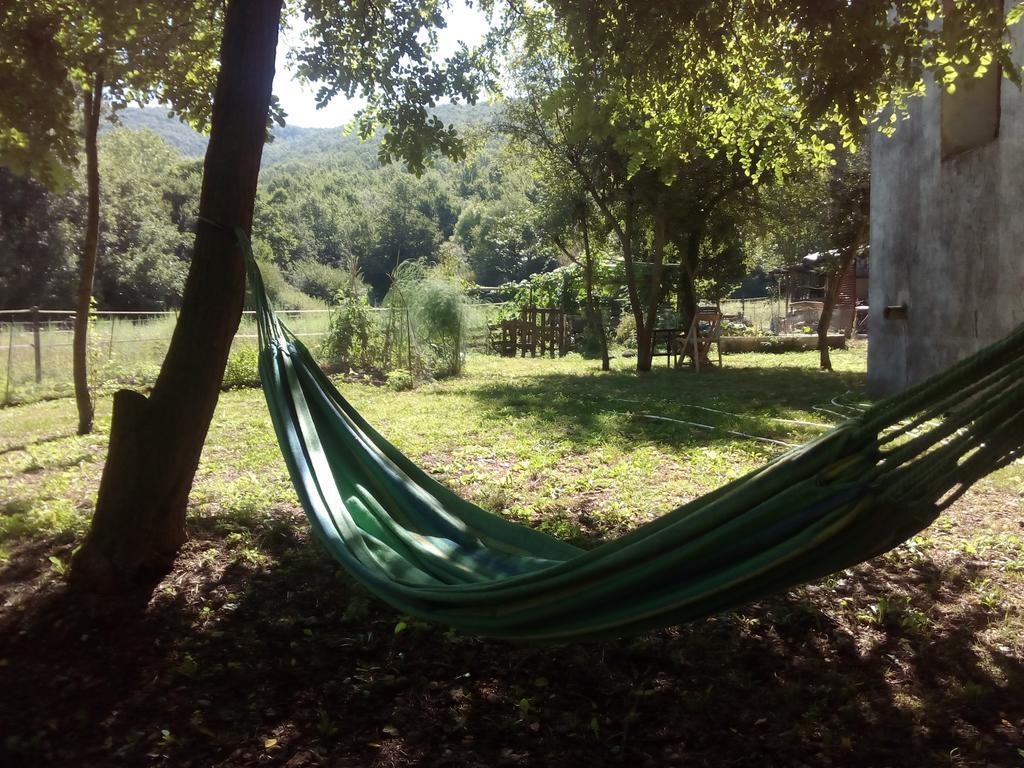 Appartamento Ca La Iaia Veva Sant Joan les Fonts Esterno foto